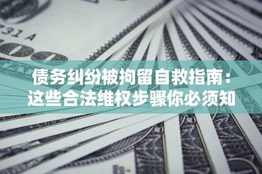 济南债务纠纷被拘留自救指南：这些合法维权步骤你必须知道！