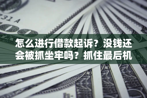 济南怎么进行借款起诉？没钱还会被抓坐牢吗？抓住最后机会！
