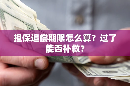 济南担保追偿期限怎么算？过了能否补救？
